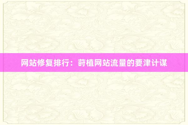 网站修复排行：莳植网站流量的要津计谋